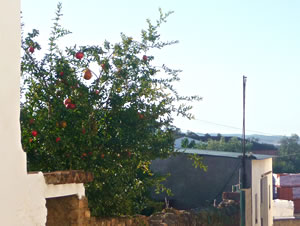 Vista de la calle o plaza